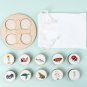 Life Cycle Board Montessori Kit Biology Science Education Toys For Kids