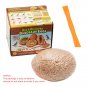 Dinosaur Egg Tyrannosaurus Model Toys Scientific Mining Educational Toy Dinosaur