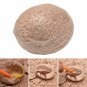 Dinosaur Egg Tyrannosaurus Model Toys Scientific Mining Educational Toy Dinosaur