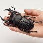 6 Style 13cm Simulation Beetle Toys Special Lifelike Model Simulation Insect Toy