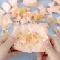 Educational Dinosaur Fossil Excavation Toys Archaeological Dig DIY Assembly