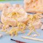 Educational Dinosaur Fossil Excavation Toys Archaeological Dig DIY Assembly