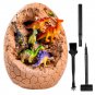 Dig Dinosaur Eggs Dinosaur Egg Kit Kids Dinosaur Eggs Science Gifts For Boys And Girls