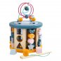 Activity Cubes Wooden Toys Bead Maze Shape Sorter Learning Developmental Montessori Toys