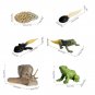 Animal Life Cycle Figurines 8PCS Frog And Snail Life Cycle Kit Biological Model Farm