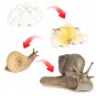 Animal Life Cycle Figurines 8PCS Frog And Snail Life Cycle Kit Biological Model Farm
