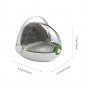 Butterfly Cage Transparent Insect Bug Observe Case Silkworm Capsule Kid Toy