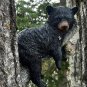 Funny Black Bear Cub Napping Hanging Out In A Tree Figurine Animal Figurines Wall-Mounted