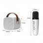 Kids Karaoke Machine with 1 Microphones Rechargeable Toys for ChildrenToddlers Build in LED Light