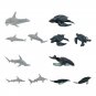 Animal Models Matching Cards Animal Picture Memory Card Marine