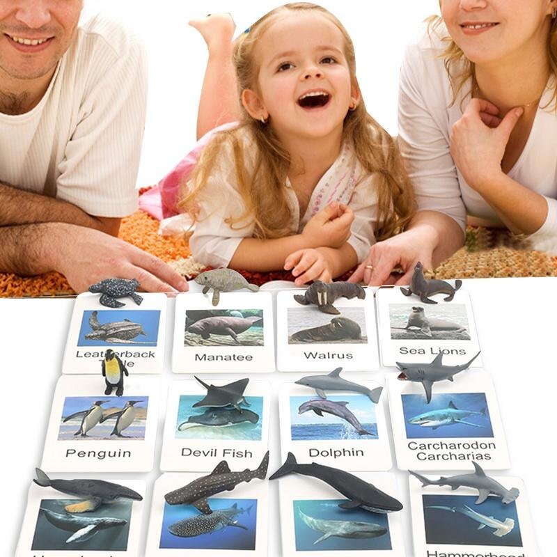 Animal Models Matching Cards Animal Picture Memory Card Marine