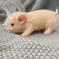 Soft Silicone Pig Doll 5'Doll Full Body Silicone Piglet Vivid Pig Baby Kids Toys