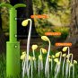 Garden Terrarium Kit For Children Kids Gardening Kit For Birthday DIY Cultivating Greenhouse