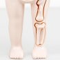 3D Montessori Puzzle Mannequin Human Anatomy Model Children's Learning Organs Toys