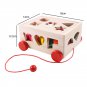Montessori Shape Sorter Toys Wooden Pull Along Car Shape Sorter Matching Blocks