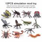 Pack of 12 Insect Bugs Figures Educational Animal Figurines Children Interactive Toys