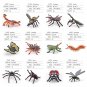 Pack of 12 Insect Bugs Figures Educational Animal Figurines Children Interactive Toys