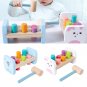 Wooden Pounding Educational Activity Toys for Ages 3+ Kids