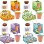 Seed Starting Gardening Box Kids Flower Growing Kit Science Toy Mini