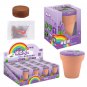 Seed Starting Gardening Box Kids Flower Growing Kit Science Toy Mini