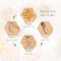 Honeybee Growth Cycle Cognitive Card Wooden Beehive Bees Grab Toys