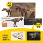 In Stock PNSO 1/35 25cm Gorgosaurus Dinosaur Toy Ancient Prehistroy Animal