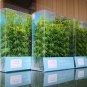 Bamboo model Plastic Miniature Tree Landscape Mixed Bamboo Tree Sand Table Model Accessories
