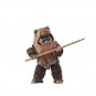 Original Hasbro Star Wars The Black Series Return of The Jedi Wicket W. Warrick 6 inches
