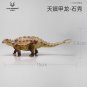 Tianzhenosaurus Dinosaur Toy Ancient Prehistroy Animal