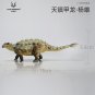 Tianzhenosaurus Dinosaur Toy Ancient Prehistroy Animal