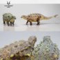 Tianzhenosaurus Dinosaur Toy Ancient Prehistroy Animal