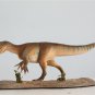 Chilantaisaurus tashikouensis Figure Dinosaur Toys Animal Collector Animal Adults Gift