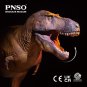 PNSO Dinosaur Museums