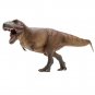 PNSO Dinosaur Museums