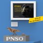 PNSO Dinosaur Museums
