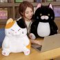 28/36/43cm Cuddly Plump Japanese Lucky Fortune Cat Plush Toys Stuffed Chuupy Cat Dolls