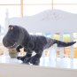 40/55/70/100CM New Dinosaur Doll Plush Toys Cartoon Tyrannosaurus Cute Stuffed Dinosaur