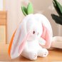 18cm Cosplay Strawberry Carrot Rabbit Plush Toy Stuffed Creative Bag into Fruit Transform Baby