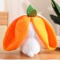 18cm Cosplay Strawberry Carrot Rabbit Plush Toy Stuffed Creative Bag into Fruit Transform Baby