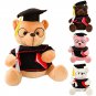 18cm Cute Dr. Bear Plush Toy Stuffed Animal Graduation Glasses Cap Teddy Soft Figurine Doll