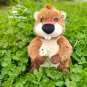 25cm Simulation Wombat Plush Toys Stuffed Wild Animal Beaver Porcellus Mouse Dolls