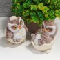 2Pcs Baby Owl Ornaments Cartoon Realistic Chubby Egg Shell Incubation Collection Garden