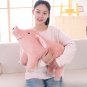 New 25CM Plush Toys Cartoon Pig Shaped Doll Throw Pillow Stuffed Toys