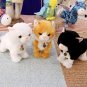 Electronic Robot Cat Meow Walking Electric Plush Cat Toy Pet Kid Friend Puzzle Doll Funny Pet