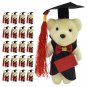 24 Pcs Dr Bear Plush Figure Toys Bouquet DIY Ornaments Baby Graduation Gifts Her