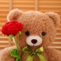 40cm Kawaii Teddy Bear for Valentines Day Gift Teddy Bears Stuffed Animal Rose Bear Doll