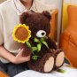 40cm Kawaii Teddy Bear for Valentines Day Gift Teddy Bears Stuffed Animal Rose Bear Doll
