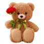 40cm Kawaii Teddy Bear for Valentines Day Gift Teddy Bears Stuffed Animal Rose Bear Doll