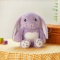 38cm Purple Luminous Glowing Plush Toy Rabbit LED Light Pillows Sleeping Toys Stuffed Animals