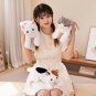 50cm Kawaii Cat Doll Plush Animal Toy Fluffy Grey White Brown Kitten